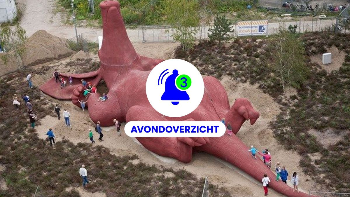 Ernstig ongeval bij betoncentrale, discussie 'azc-subsidie' en het Arnhemse aardvarken: dit was 3 ma