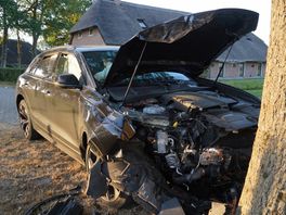 Auto botst tegen boom in Dwingeloo