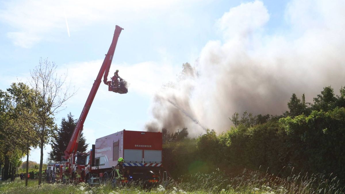 Zwarte rook bij brand in loods; honden in veiligheid