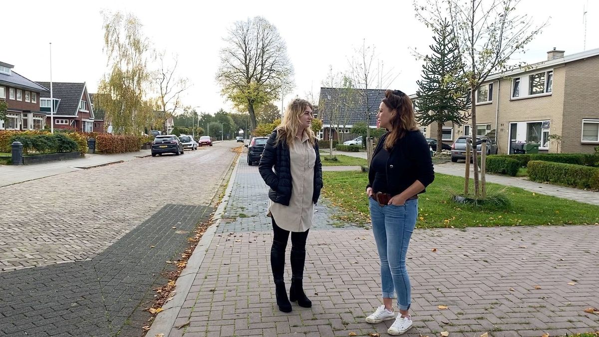 Bezorgdheid in Augustinusga over vermiste en vergiftigde katten en honden