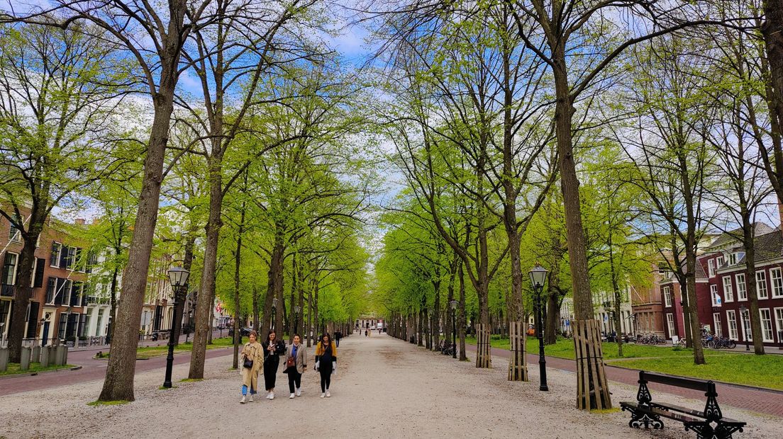 Het Lange Voorhout is het voorbeeld, zo moet straks ook de rest van het centrum eruitzien