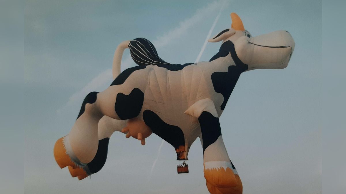 40 jaar Friese Ballonfeesten: dit waren de meest bijzondere ballonnen