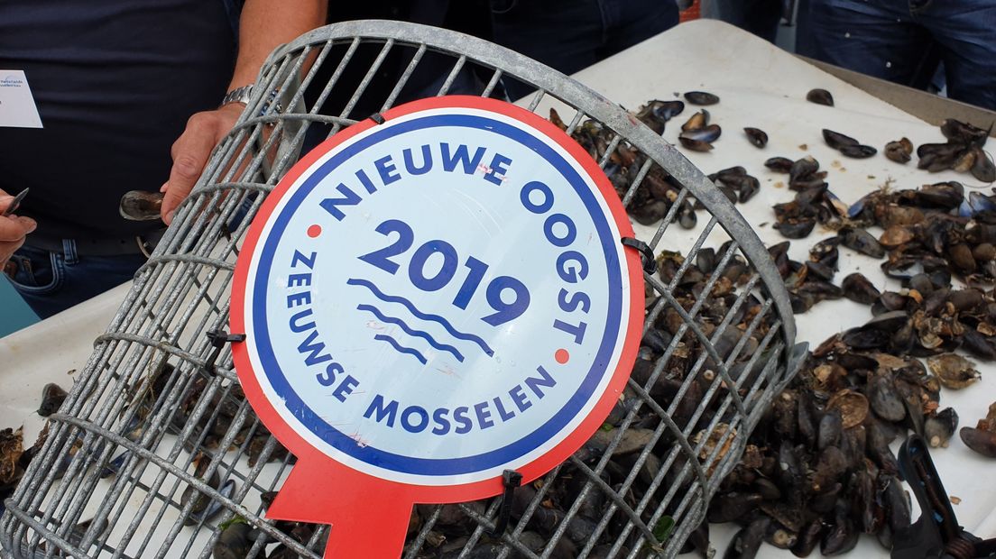 'Eerste' mosselen opgevist, bodemmosselseizoen 2019 van start