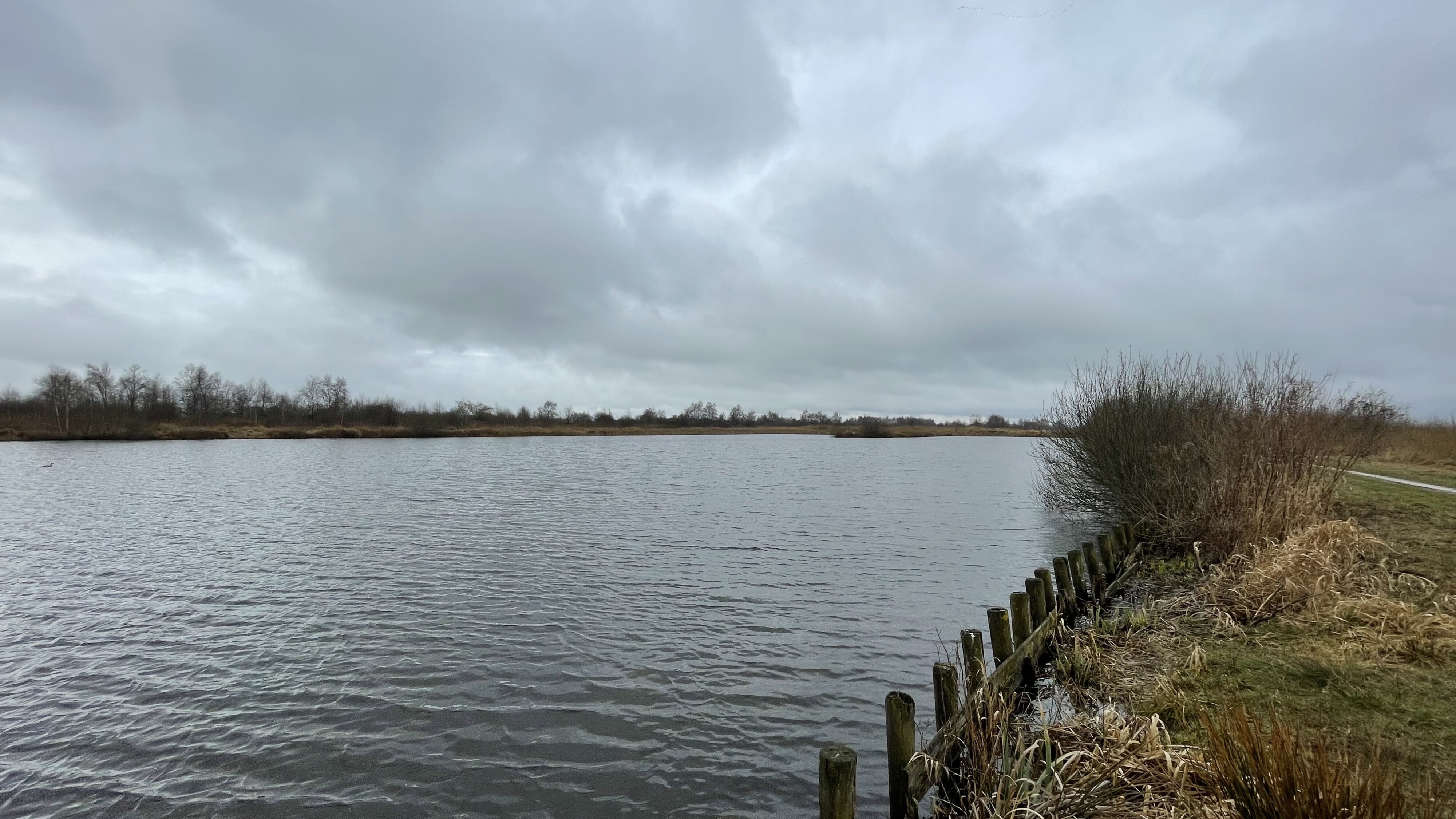 Natuergebiet De Brandemar by Aldlemmer fan Steatsboskbehear