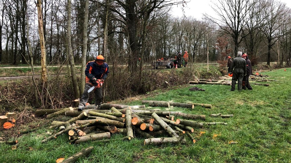 Vrijwilligers van de Zeijerwiek werken aan natuurbehoud in de omgeving van Zeijen (Rechten: RTV Drenthe/Jasmijn Wijnbergen)