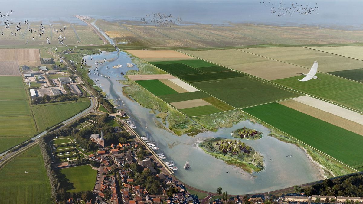 Landbouworganisaties in brief aan provincie over Holwerd aan Zee: 