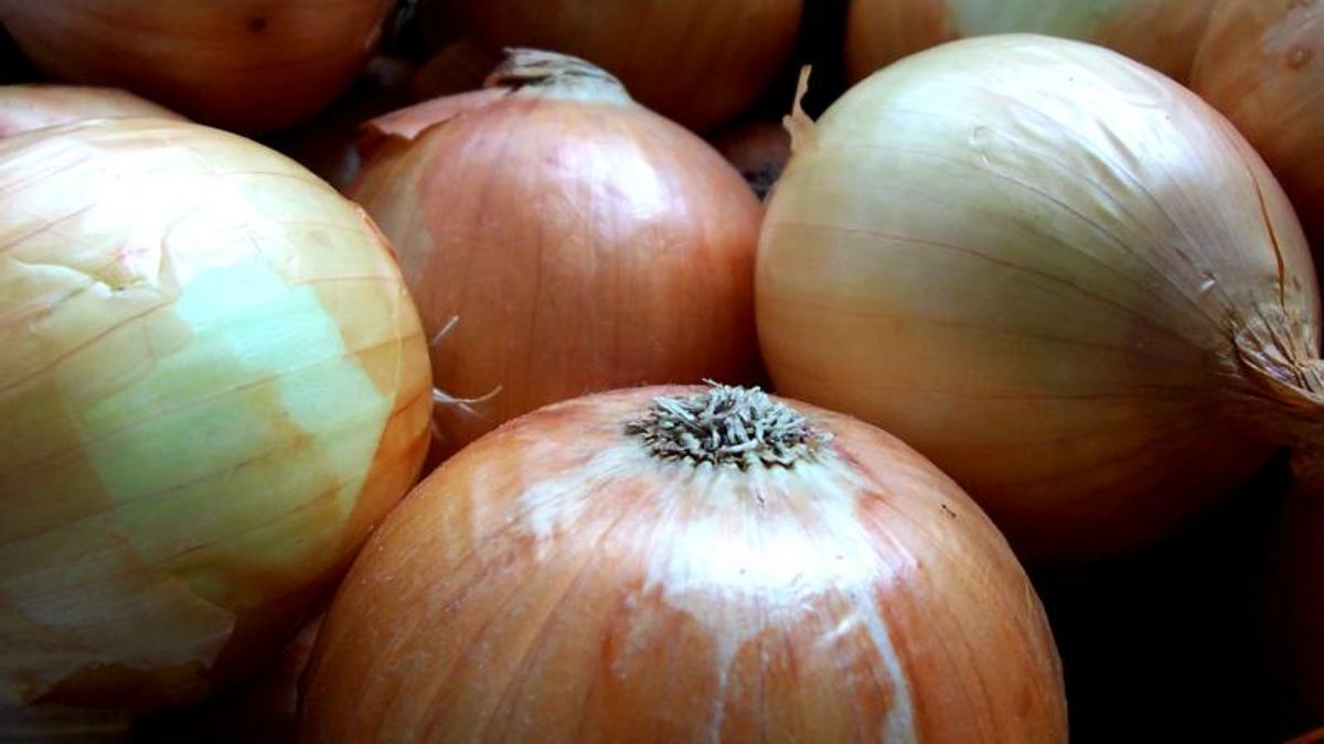 Knoflook- en uienlucht boven Geervliet