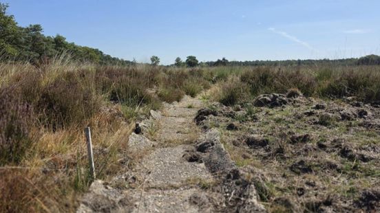 Dit bijzondere 'geheim' op de Veluwe wordt na ruim 100 jaar hersteld
