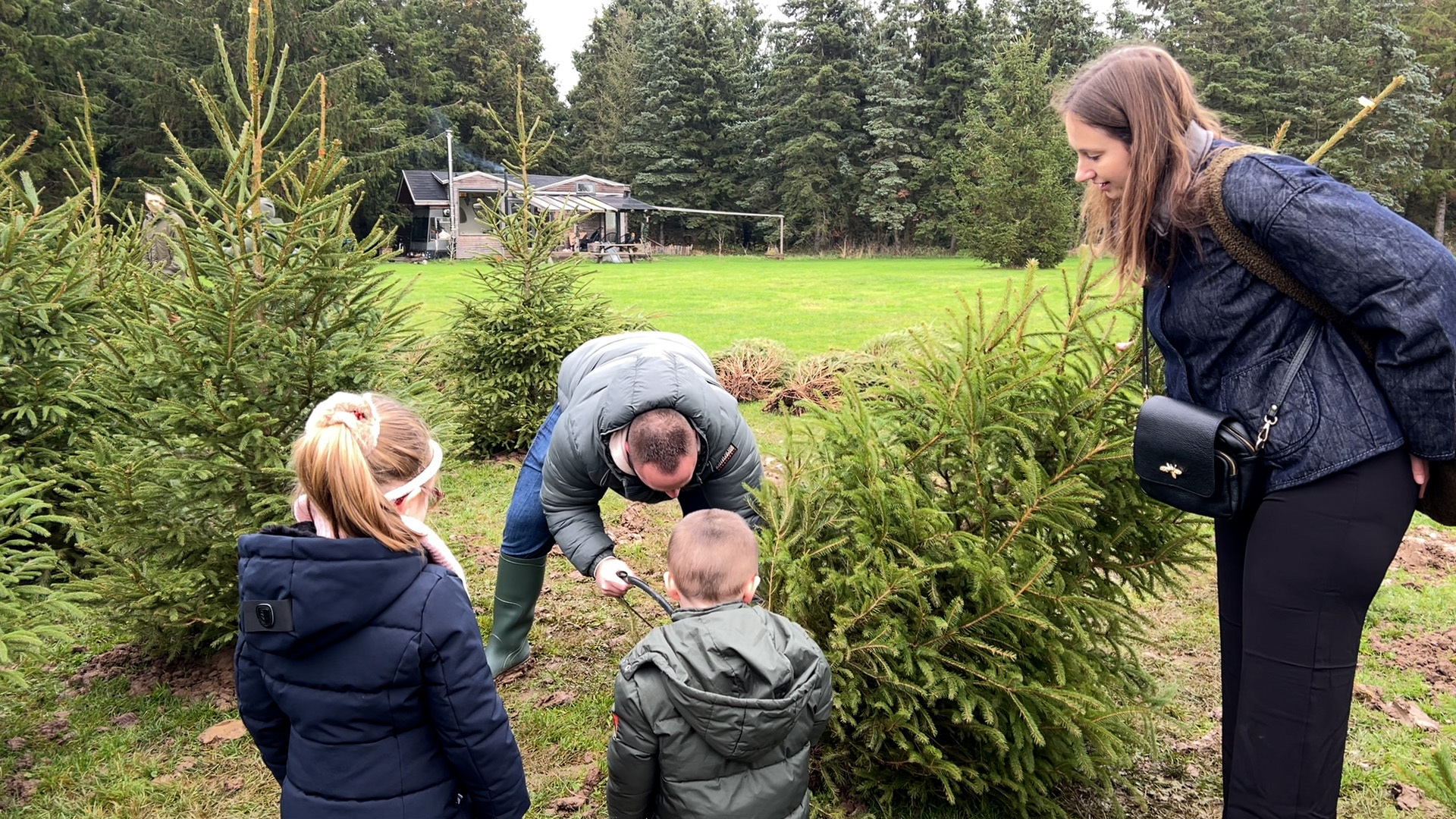 Klaar met Sinterklaas en meteen op zoek naar de mooiste kerstboom