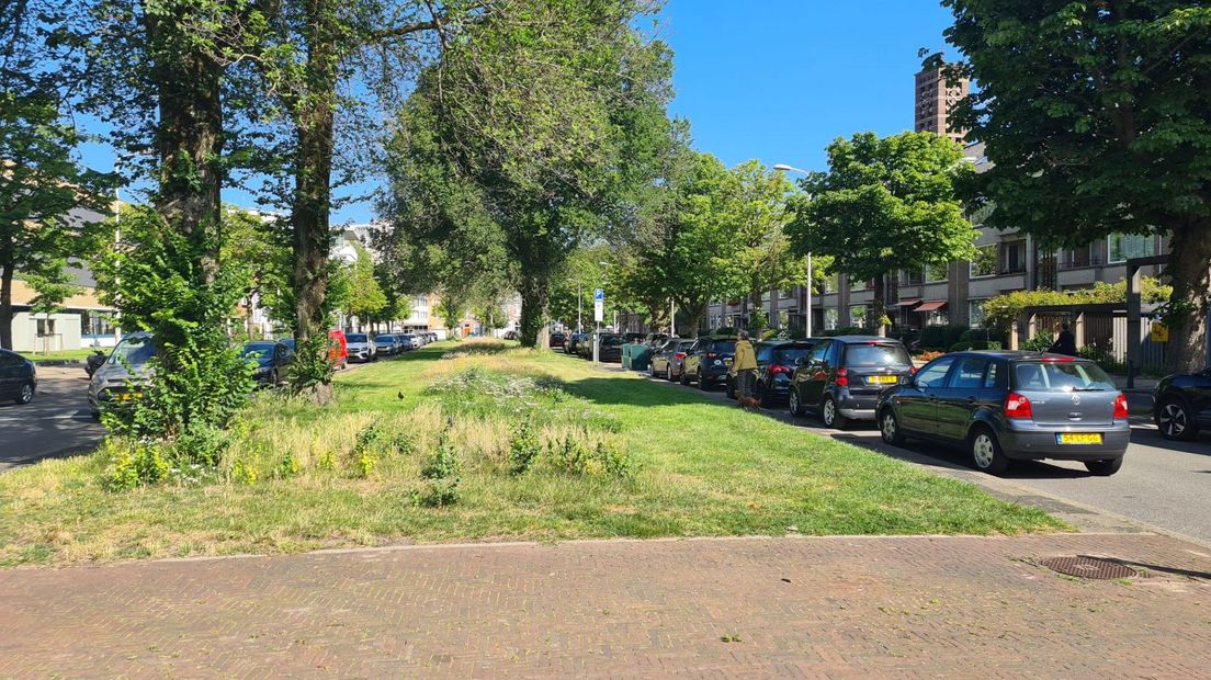 Komt er een ondergrondse parkeergarage in Bezuidenhout? 'Je moet een auto wel ergens kwijt kunnen'
