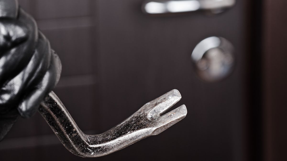 Reeks van inbraken in Buitenpost en omgeving | Kan monumentale boom nog worden gered na brand?