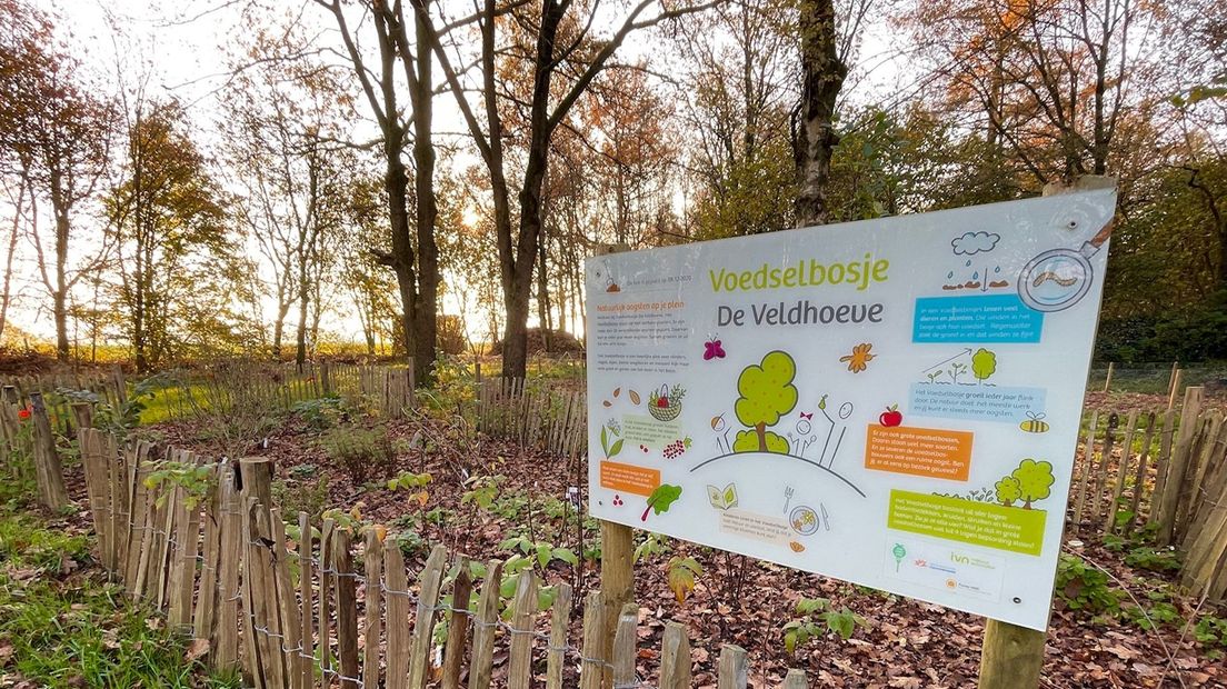 Het voedselbosje bij IVN De Veldhoeve in Orvelte