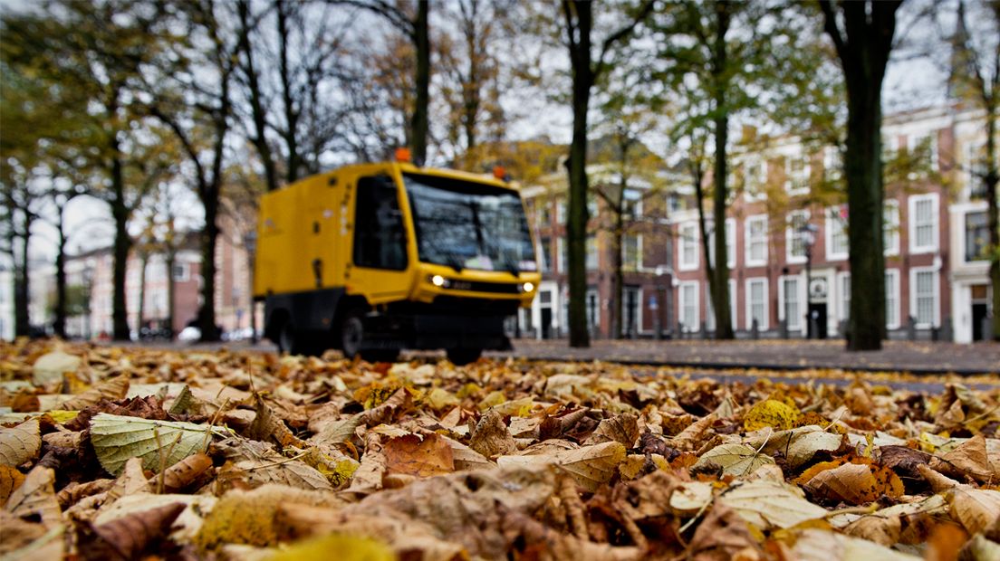 Blaadjes genoeg aan het Lange Voorhout in Den Haag.