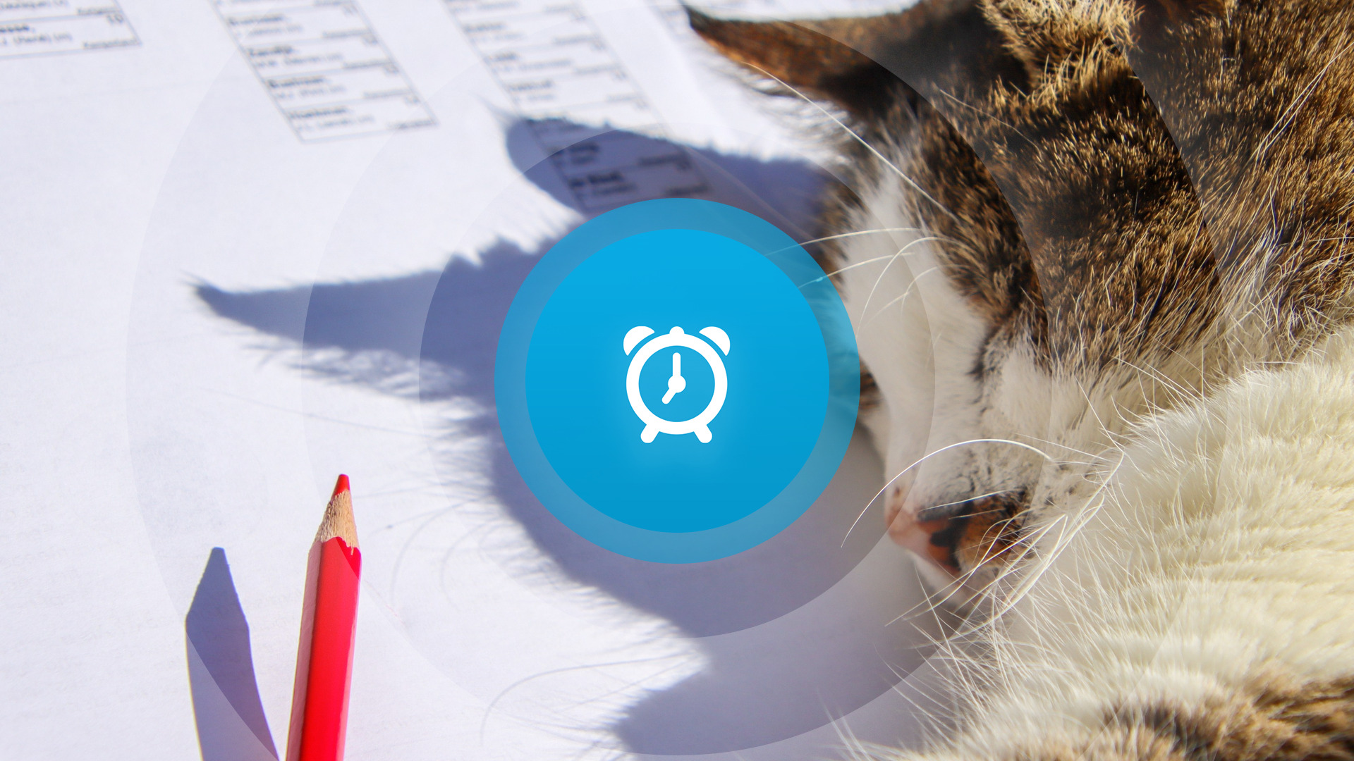 Goedemorgen! Uitslag verkiezingen, havenmeester van het jaar en beloega straks in de Westerschelde?