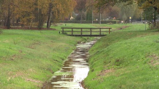 Zeldzame vogel gespot in Assen: 'Echt een cadeautje'