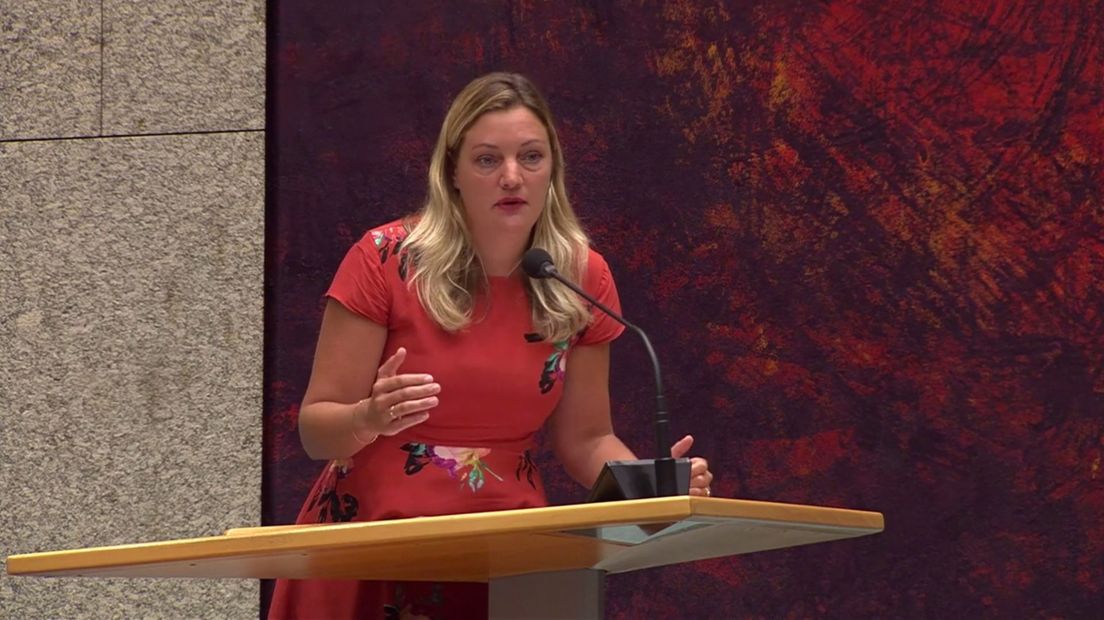 Sandra Beckerman in de Tweede Kamer