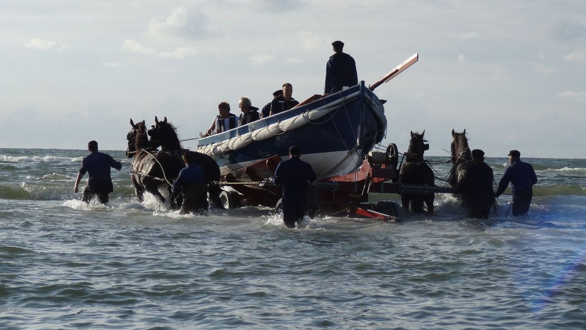 Traditie met paardenreddingsboot bij Oosterend kan weer, al is het op het nippertje