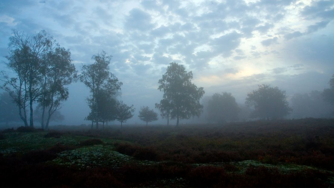 Grondmist en een mooi gekleurde hemel.