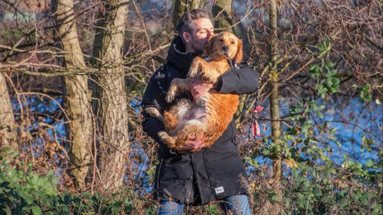 Hond van Veronica-dj Van der Bruggen weer terecht na auto-ongeluk. Hond van Veronica-dj Van der Bruggen weer terecht na auto-ongeluk.