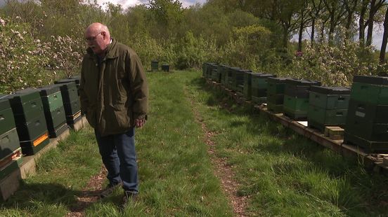 Imkers in Zuidwest Drenthe krijgen geen grip op massale bijensterfte