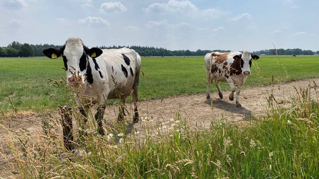 Onderzoek GGD IJsselland 'Boeren in Beeld'