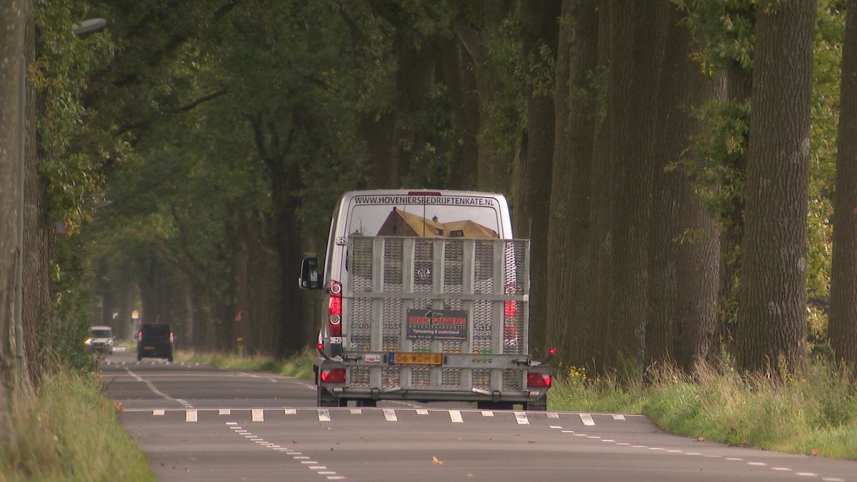 Drempels op Coevorderstraatweg worden aangepast, maar bewoners willen bomen weg