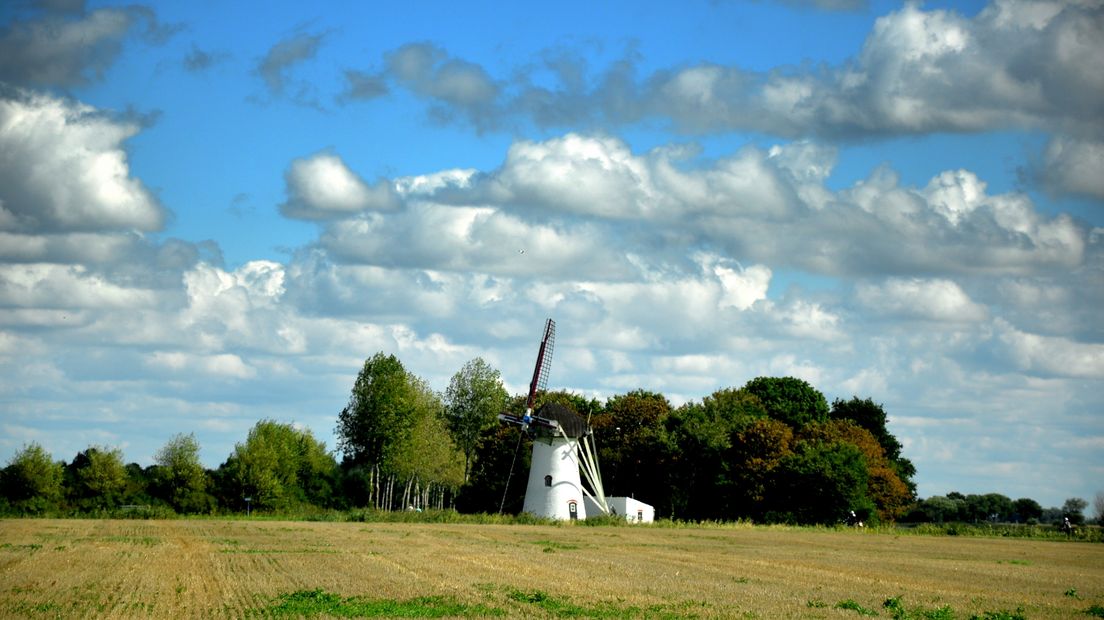 Een schattige molen bij Scharendijke