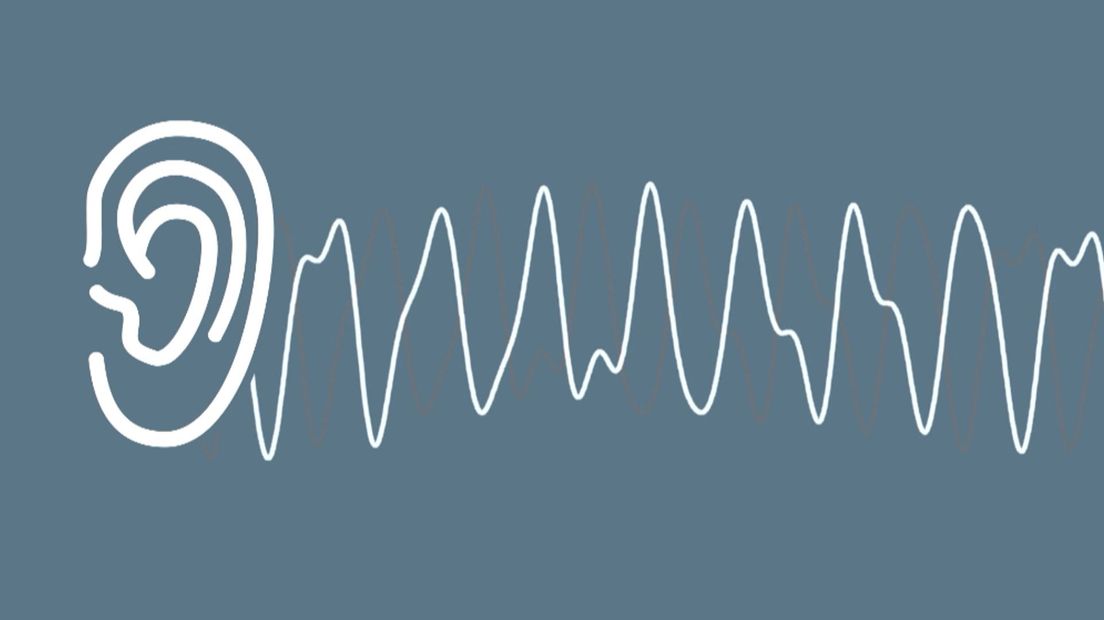 Steeds meer mensen hebben last van laagfrequent geluid (Rechten: RTV Drenthe)