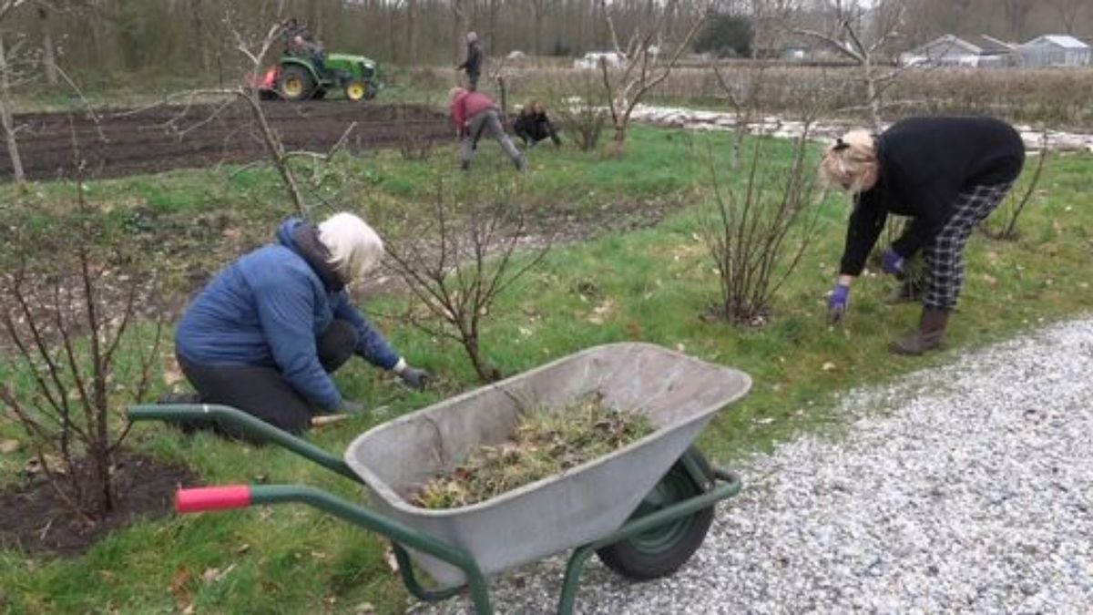 In Veendam zijn ze bijna klaar voor het voorjaar: 'De spinazie kan de grond in'