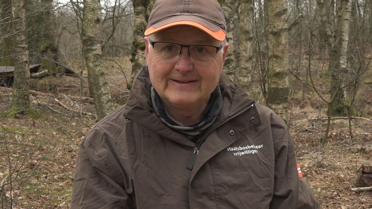 Vrijwilligers in de Drentse natuur: Zeegser Duinen