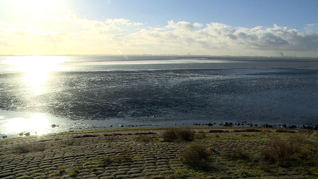 De Westerschelde bij Baarland