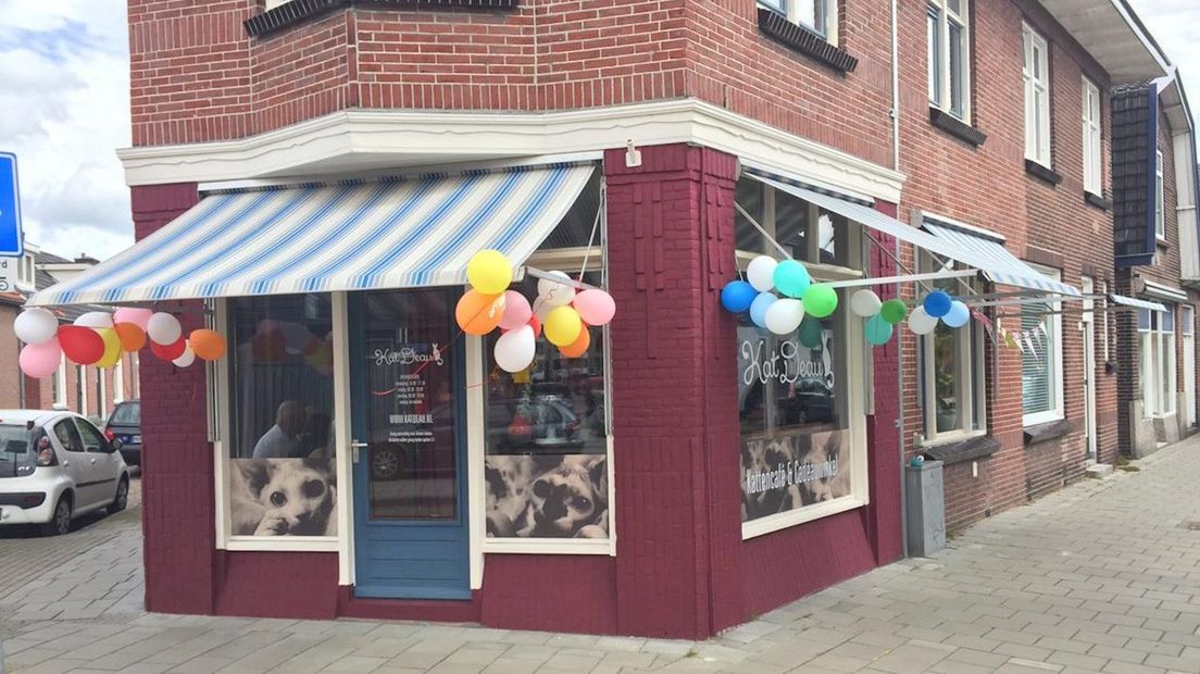 Het kattencafé in Hengelo is officieel geopend