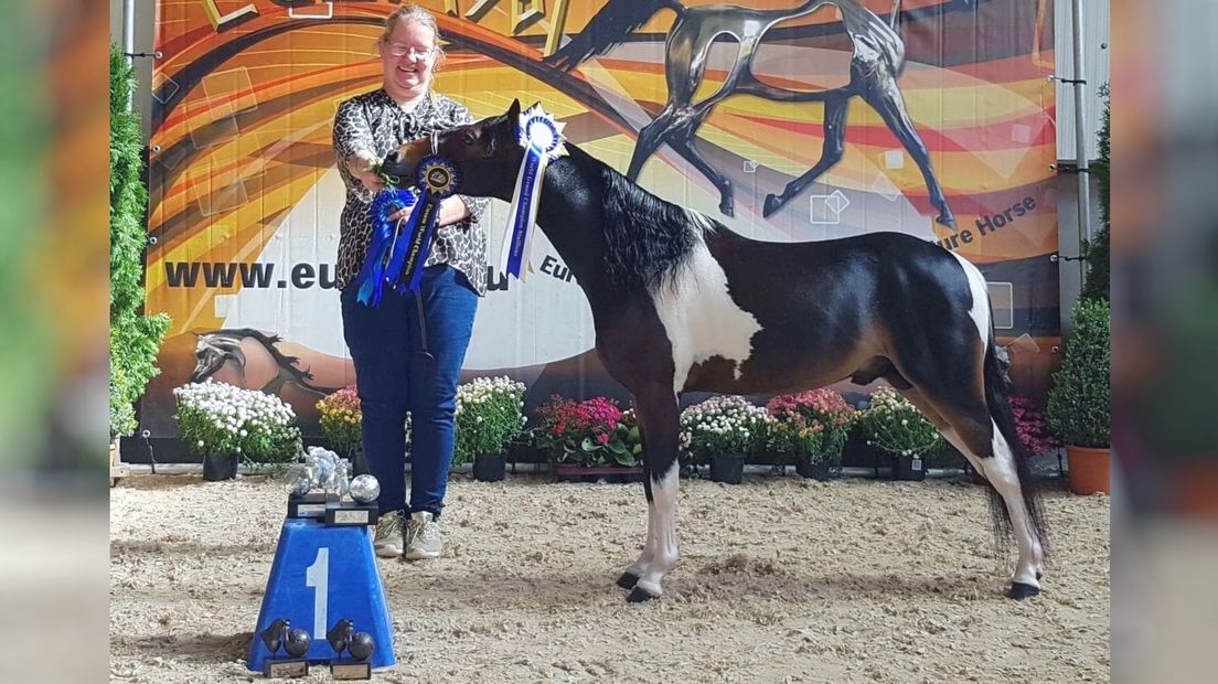 Diana Verburg uit Kattendijke met haar prijswinnende hengstje Cooper