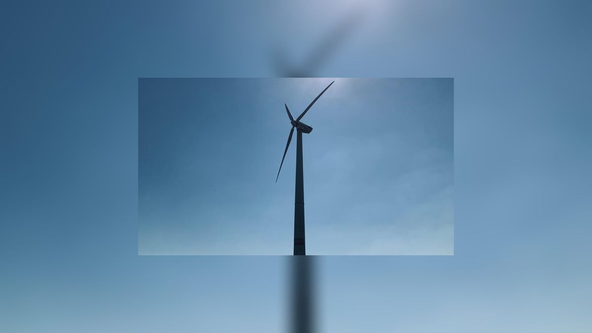 Dorpsmolen Reduzum heeft benodigde aantal van 500 leden binnen