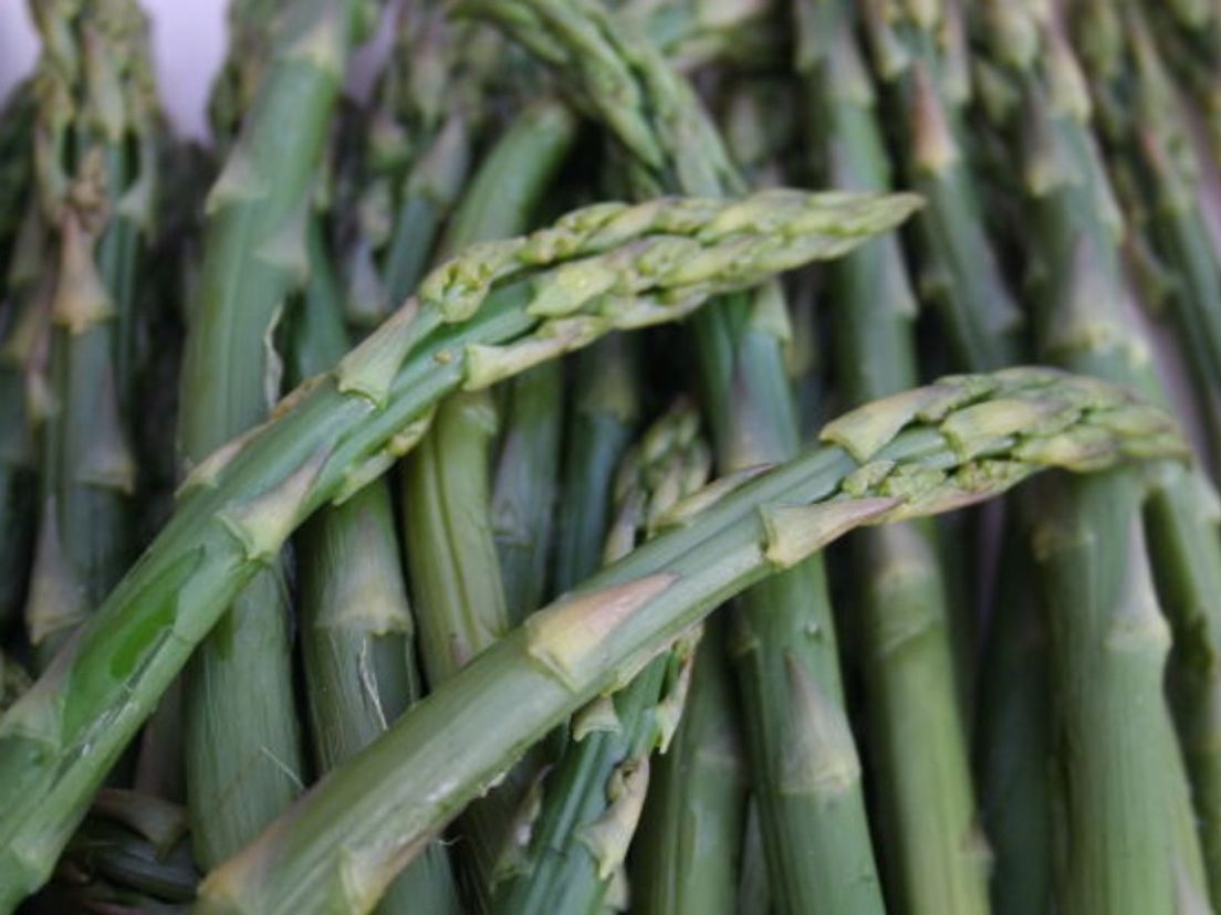 Asperge