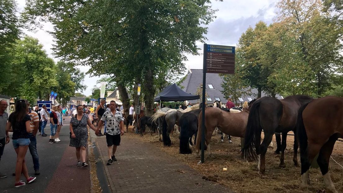 De paardenmarkt in Norg (Rechten: Marjolein Knol / RTV Drenthe)