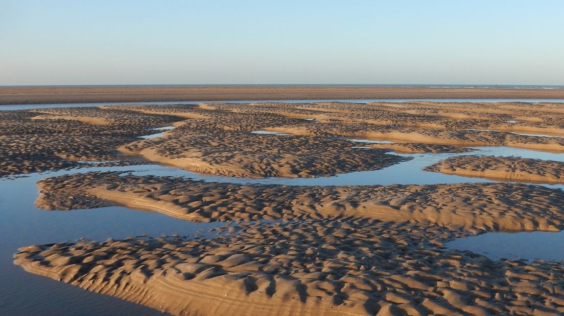 Het Zwin bij Cadzand