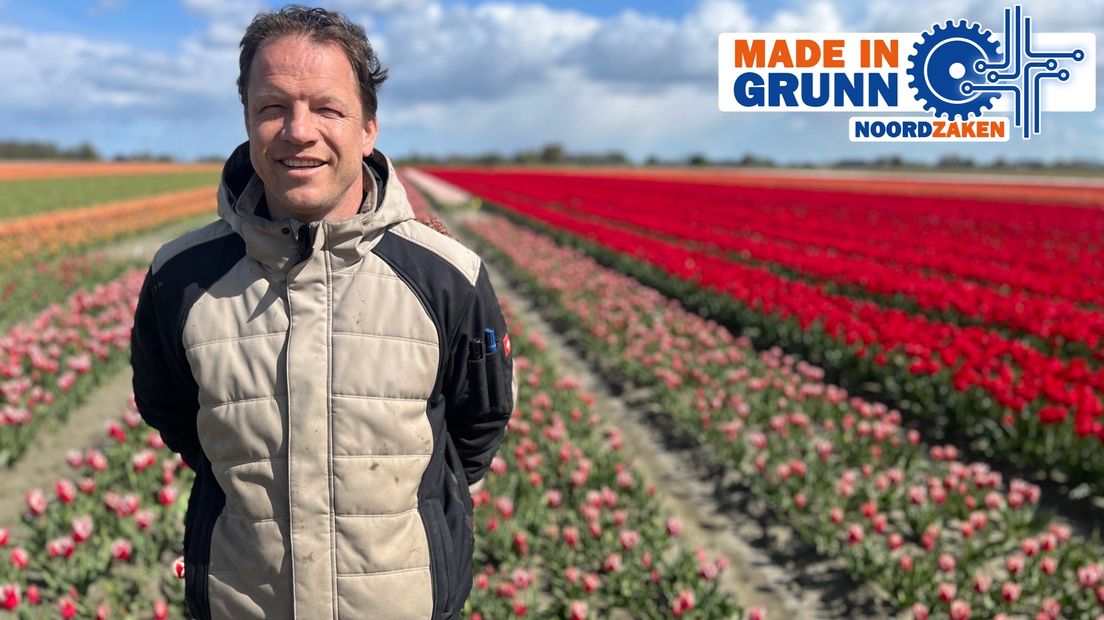Made in Grunn: De tulp van de toekomst in Kloosterburen