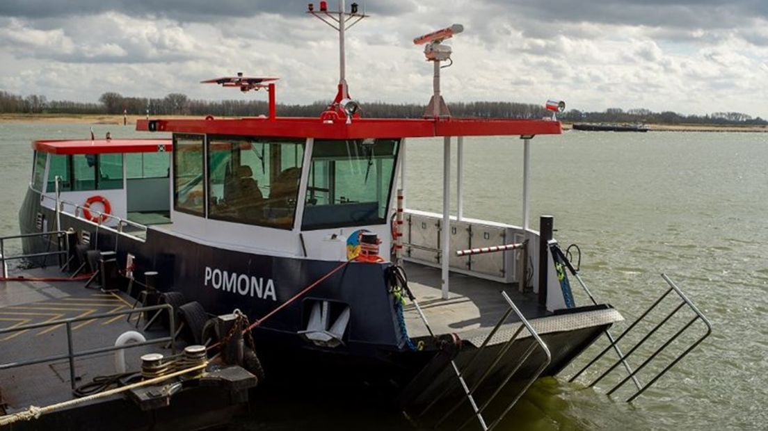 Het voetveer Pomona tussen Tiel en Wamel is maandagochtend uit de vaart genomen vanwege de hoge waterstand in de Waal.