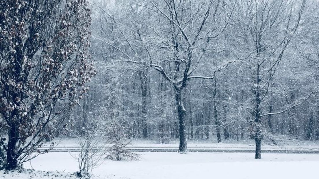 Let it snow, let it snow, let it snow. Winterliefhebbers kunnen vandaag hun hart ophalen. Of het de beloofde 15 centimeter is, is nog onduidelijk. Duidelijk is wel dat er een dik pak verse sneeuw ligt in Gelderland, en dat zorgt naast veel ellende ook voor mooie plaatjes.