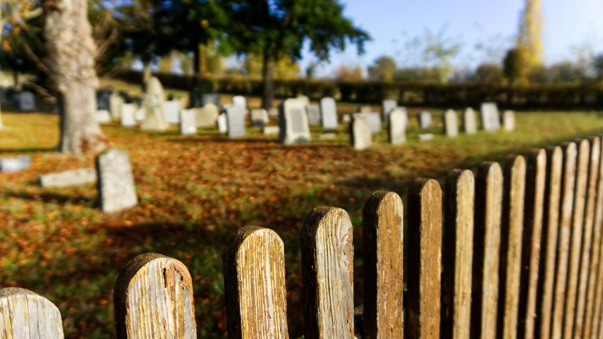 Natuurlijk begraven wordt steeds populairder: 'Je belast de aarde zo min mogelijk'