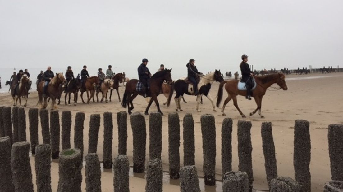 Honderd paarden briesend over het strand (video)