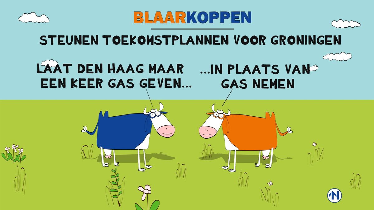 Blaarkoppen willen geen woorden, maar daden - RTV Noord