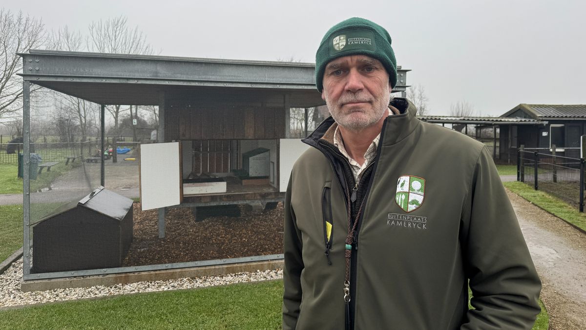 Mark verloor 40 dieren op zijn kinderboerderij aan vogelgriep: 'Doet wat met je'