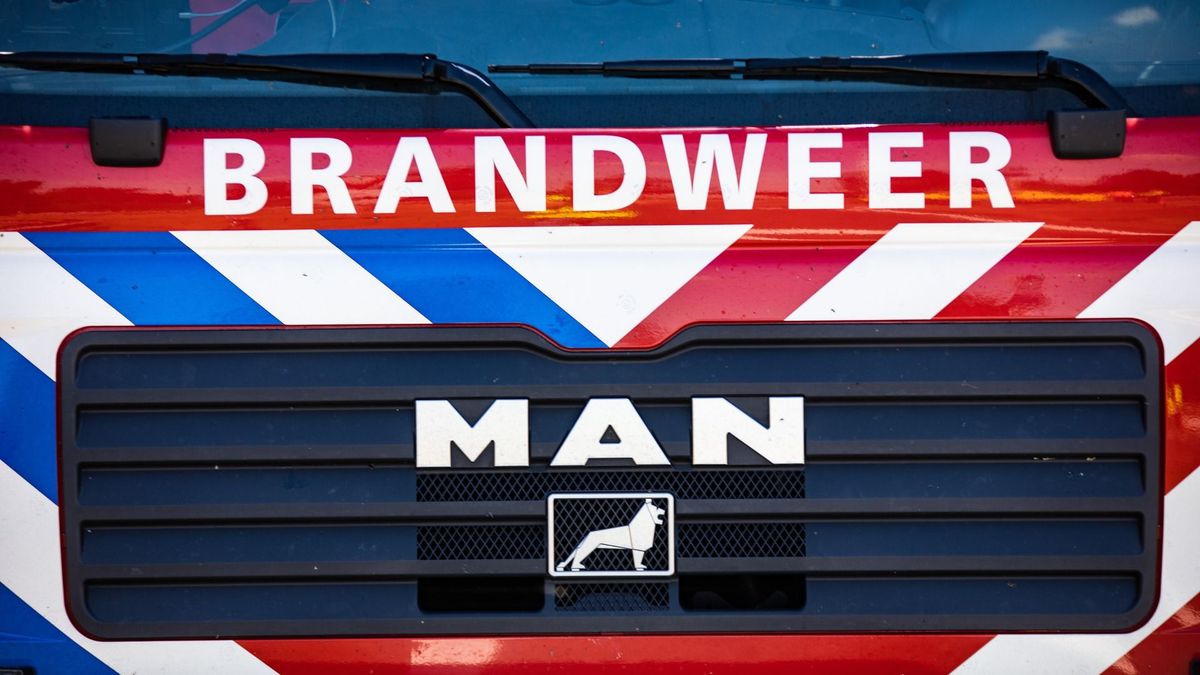 Vijftien kalveren omgekomen bij stalbrand in Elsloo