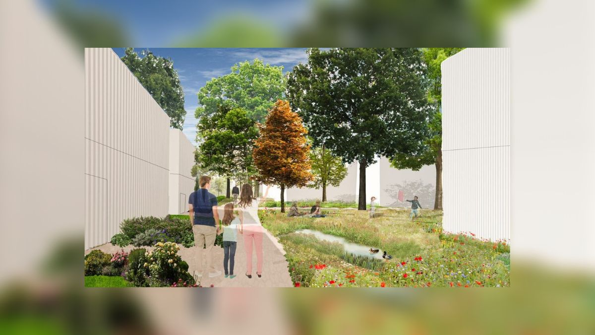 Leeuwarder wijk Heechterp krijgt eigen karakter: meer variatie