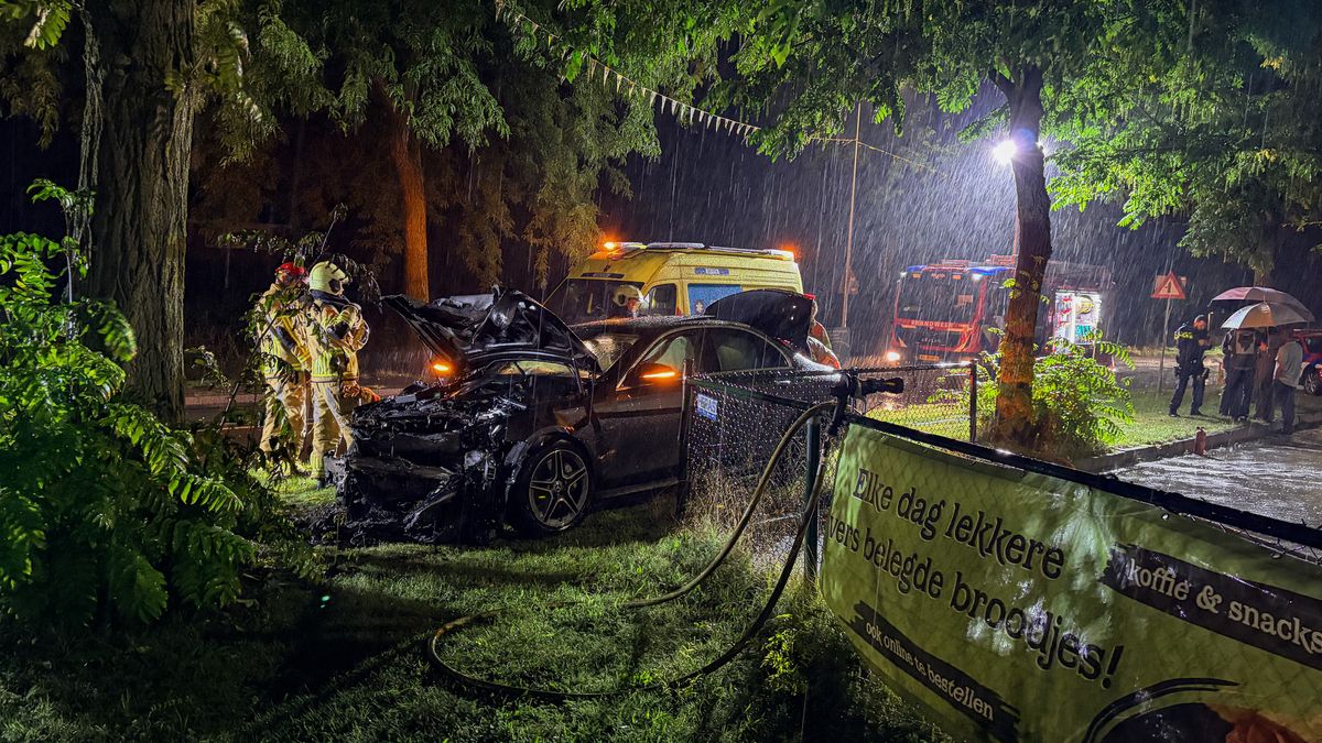 Raalte: personenauto vliegt in brand door botsing met boom