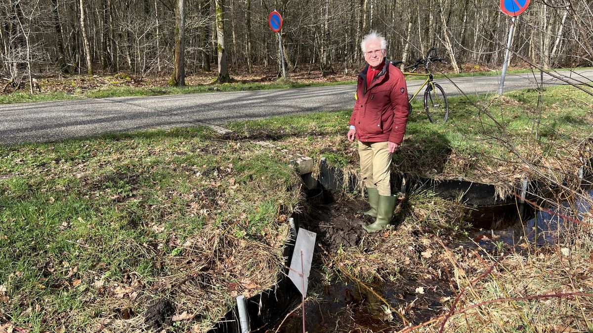 Gasterse padden weten weg naar tunnel onder weg door goed te vinden