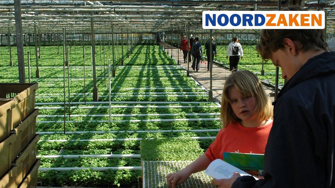 Deskundigen vrezen dat ook de tuinbouwsector zware klappen krijgt als gevolg van de coronacrisis