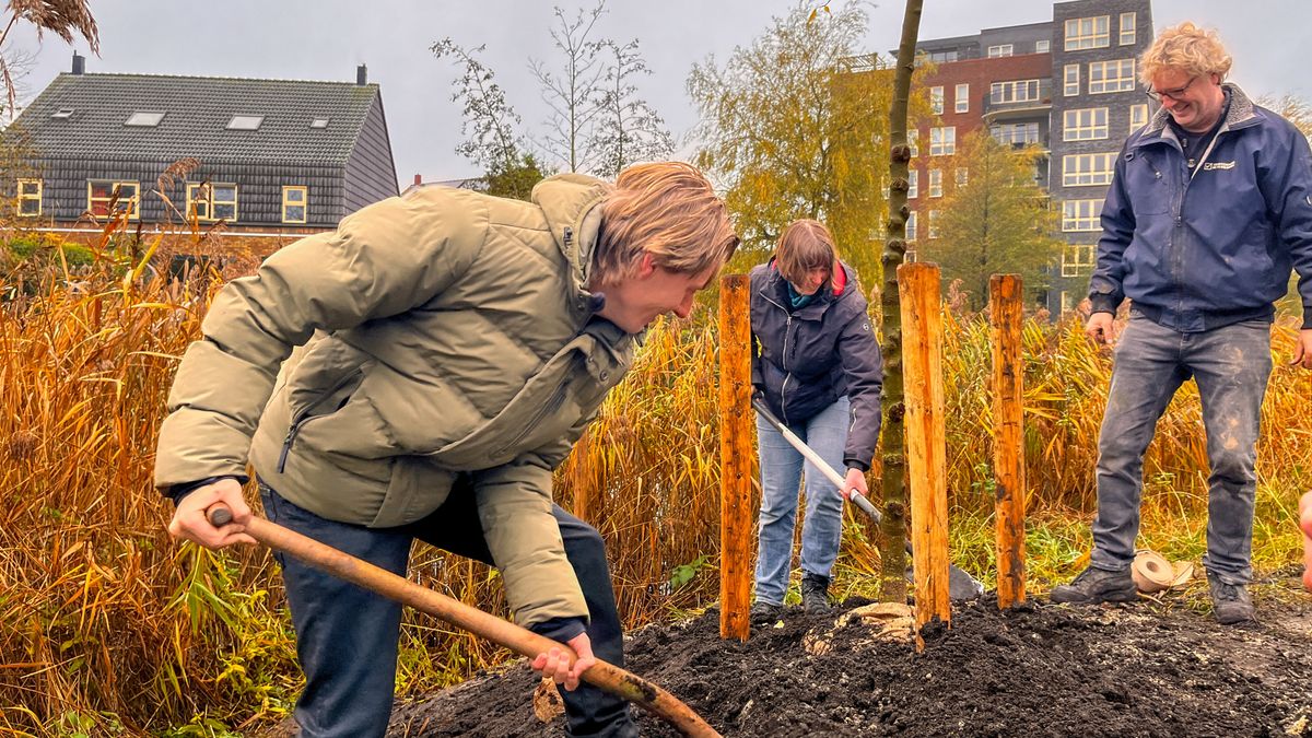 Deze drie Friezen maken dit jaar kans op de Johan de Jong-boom